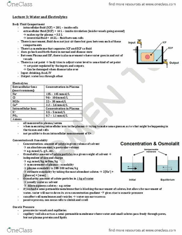 LMP299Y1 Lecture Notes - Lecture 3: Enzyme Inhibitor, Hypoalbuminemia, Semipermeable Membrane thumbnail