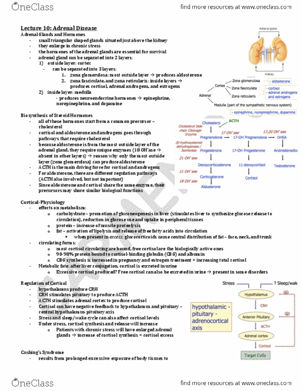 LMP299Y1 Lecture Notes - Lecture 10: Intravenous Therapy, Abdominal Pain, Autoantibody thumbnail