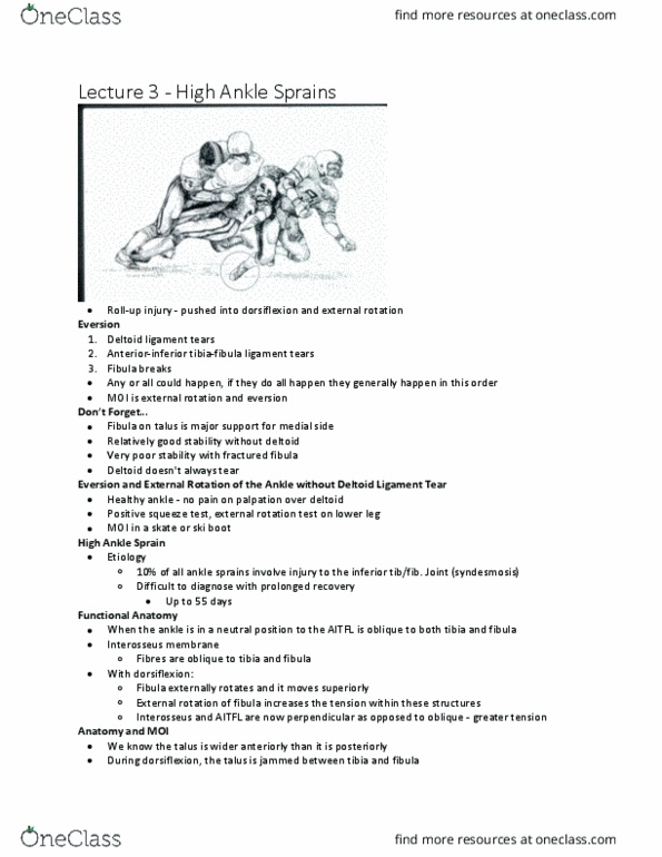 Kinesiology 3336A/B Lecture Notes - Lecture 3: Deltoid Ligament, Interosseous Membrane, Ski Boot thumbnail