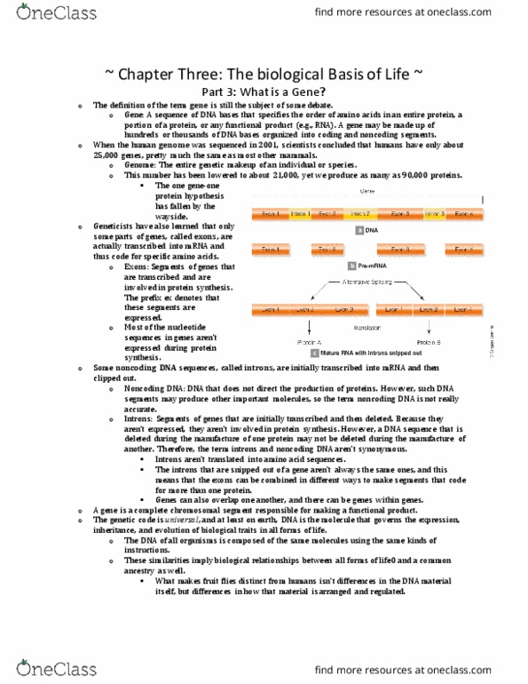 ANT 230 Chapter Notes - Chapter 3.3: Noncoding Dna, Intron thumbnail