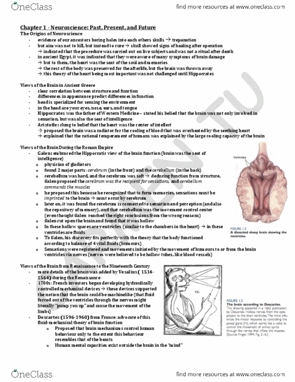 HMB200H1 Chapter Notes - Chapter 1: Neurology, Action Potential, Advantageous thumbnail