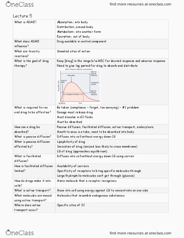 PHAR 340 Lecture Notes - Lecture 5: Facilitated Diffusion, Active Transport, Adme thumbnail