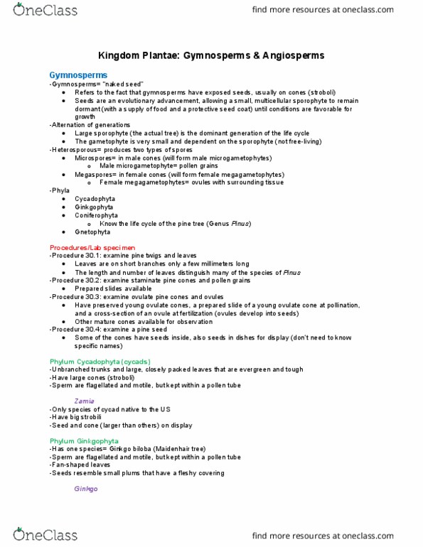 BIO 1106 Lecture Notes - Lecture 5: Conifer Cone, Ginkgo Biloba, Pollen Tube thumbnail