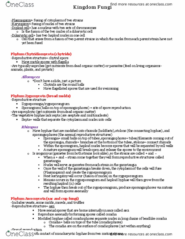 BIO 1106 Lecture Notes - Lecture 7: Conidium, Sporangium, Gametangium thumbnail