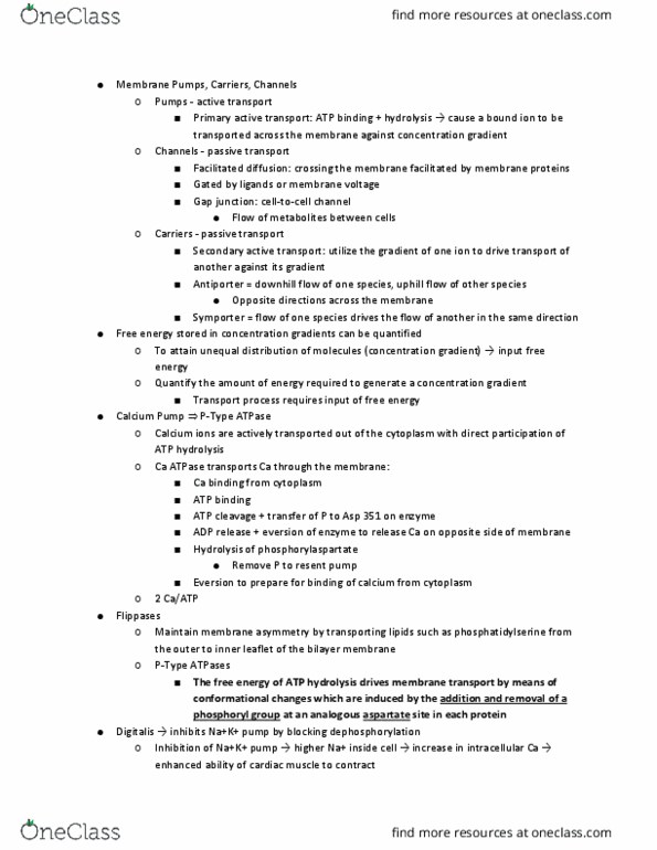 11:115:301 Lecture Notes - Lecture 9: Active Transport, Atp Hydrolysis, Passive Transport thumbnail