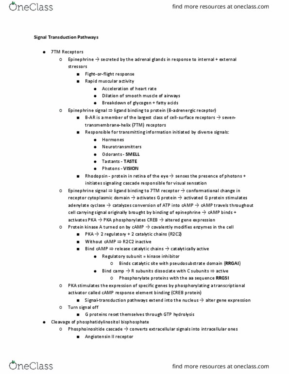 11:115:301 Lecture Notes - Lecture 10: Creb, Adenylyl Cyclase, Protein Kinase A thumbnail