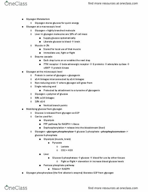 11:115:301 Lecture Notes - Lecture 18: Pentose Phosphate Pathway, Glycogen Phosphorylase, Phosphorylase Kinase thumbnail