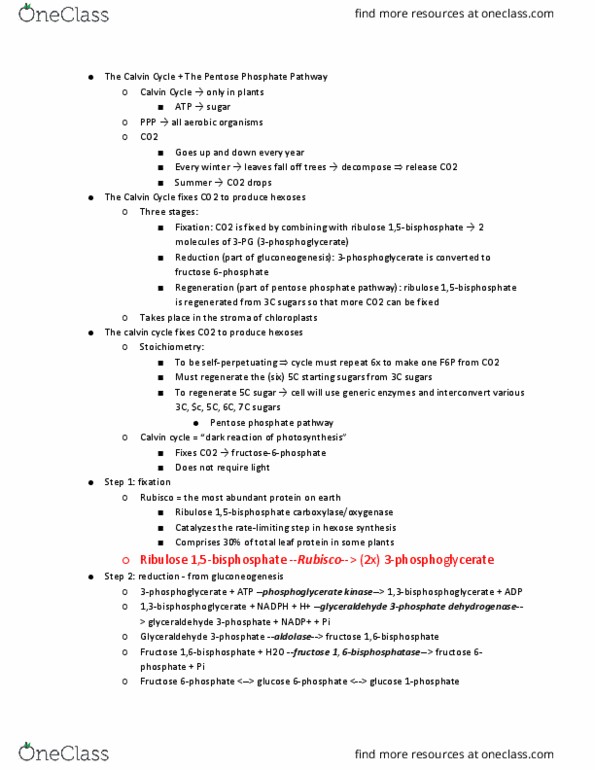 11:115:301 Lecture Notes - Lecture 17: Pentose Phosphate Pathway, Phosphoglycerate Kinase, Light-Independent Reactions thumbnail