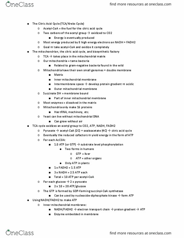 11:115:301 Lecture Notes - Lecture 14: Inner Mitochondrial Membrane, Mitochondrion, Succinyl-Coa thumbnail