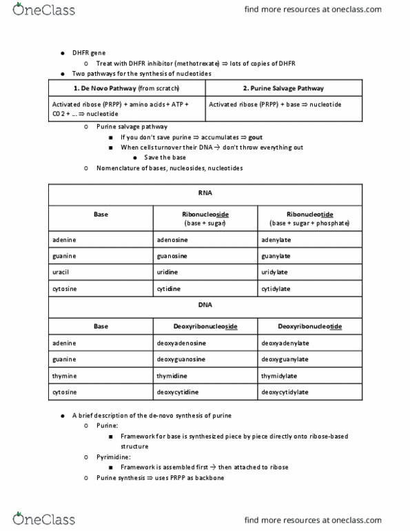 11:115:301 Lecture Notes - Lecture 21: De Novo Synthesis, Phosphoribosyl Pyrophosphate, Dihydrofolate Reductase thumbnail