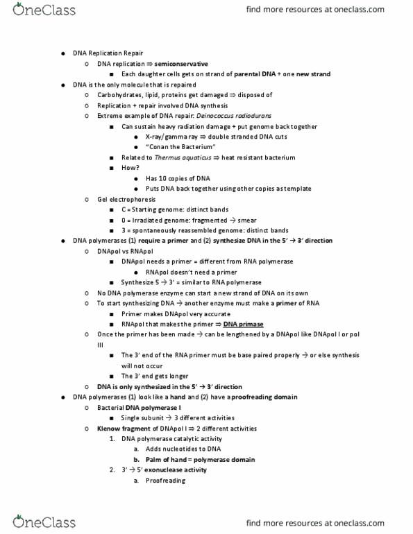 11:115:301 Lecture Notes - Lecture 23: Deinococcus Radiodurans, Thermus Aquaticus, Klenow Fragment thumbnail