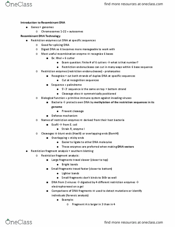 11:115:301 Lecture Notes - Lecture 22: Restriction Enzyme, Recombinant Dna, Southern Blot thumbnail