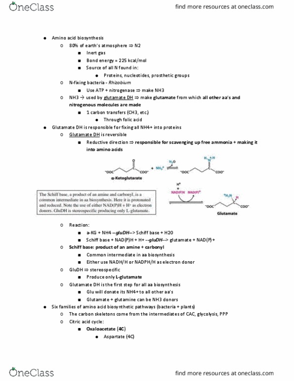 11:115:301 Lecture Notes - Lecture 21: Schiff Base, Nitrogenase, Stereospecificity thumbnail