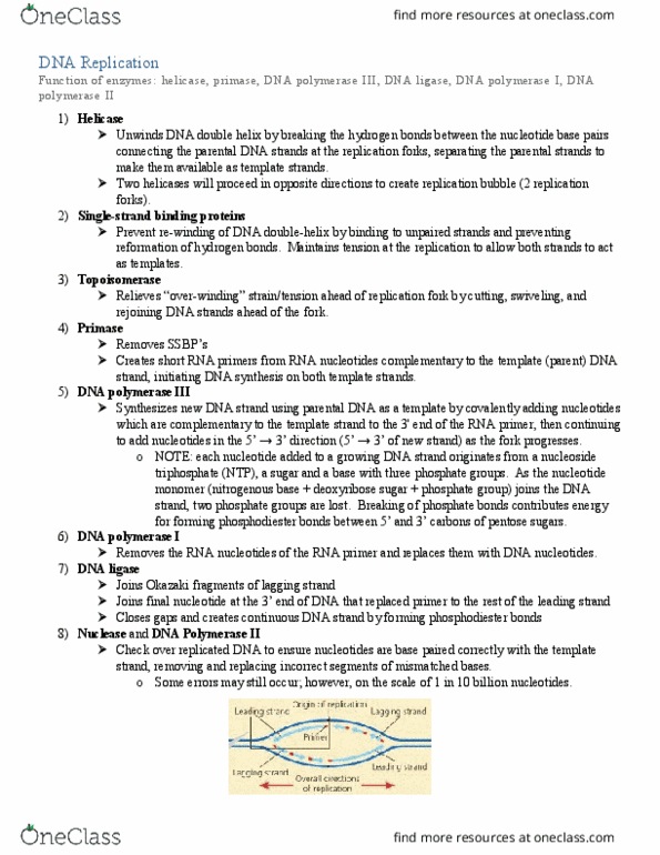 BIOL 112 Chapter Notes - Chapter 3: Dna Polymerase Ii, Dna Replication, Dna Ligase thumbnail