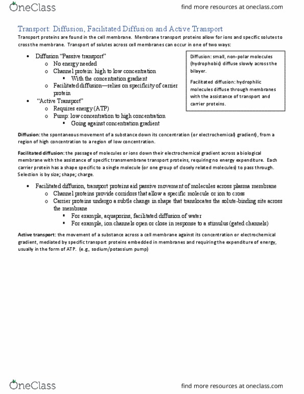 BIOL 112 Chapter Notes - Chapter 4: Electrochemical Gradient, Facilitated Diffusion, Membrane Transport Protein thumbnail