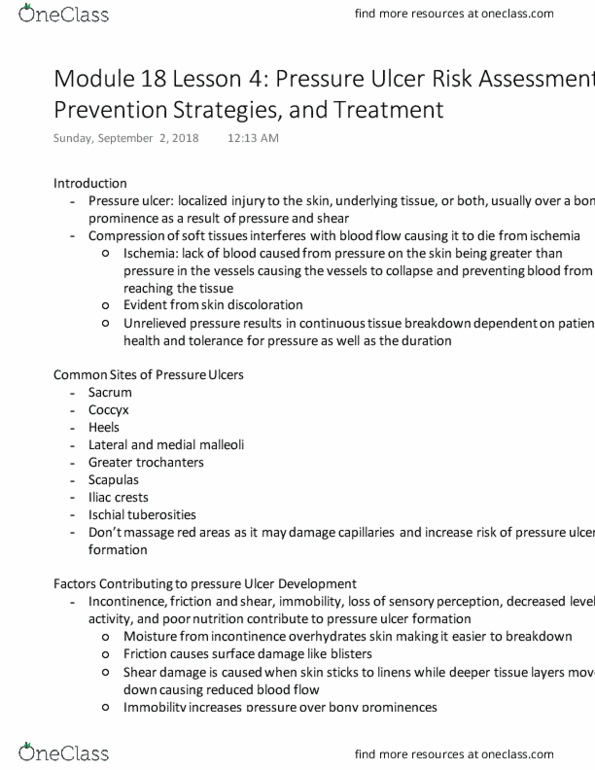 NURSING 1I02 Lecture Notes - Lecture 1: Pressure Ulcer, Risk Assessment, Coccyx thumbnail