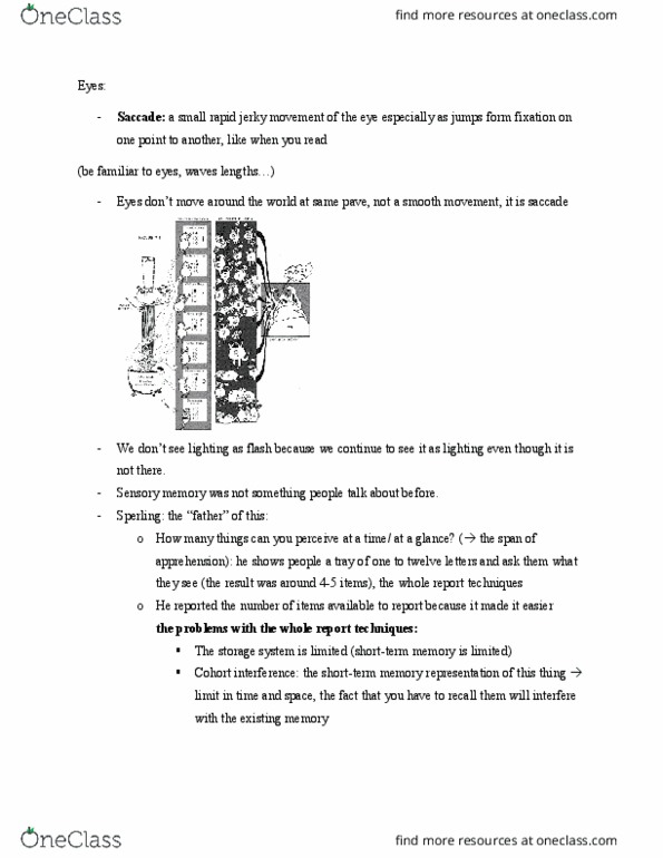 Psychology 2135 Lecture Notes - Lecture 3: Saccade, Jerky, Sensory Memory thumbnail