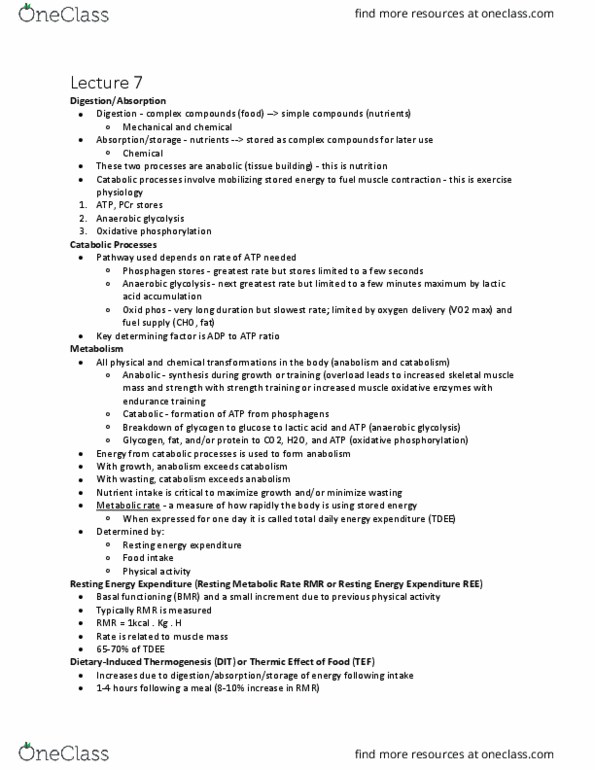 Kinesiology 3339A/B Lecture Notes - Lecture 7: Resting Metabolic Rate, Anaerobic Glycolysis, Oxidative Phosphorylation thumbnail