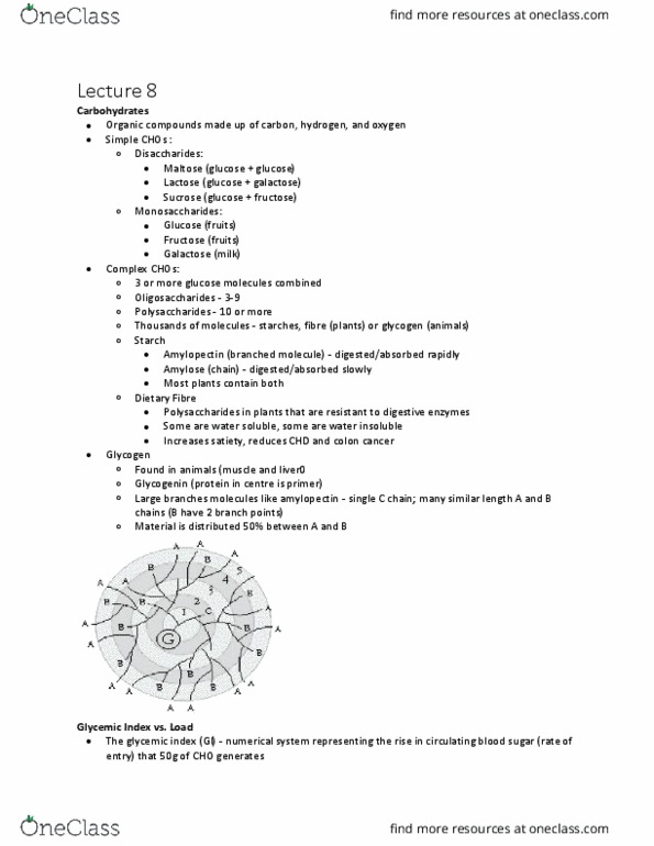 Kinesiology 3339A/B Lecture Notes - Lecture 8: Glycemic Index, Glycemic Load, Amylopectin thumbnail