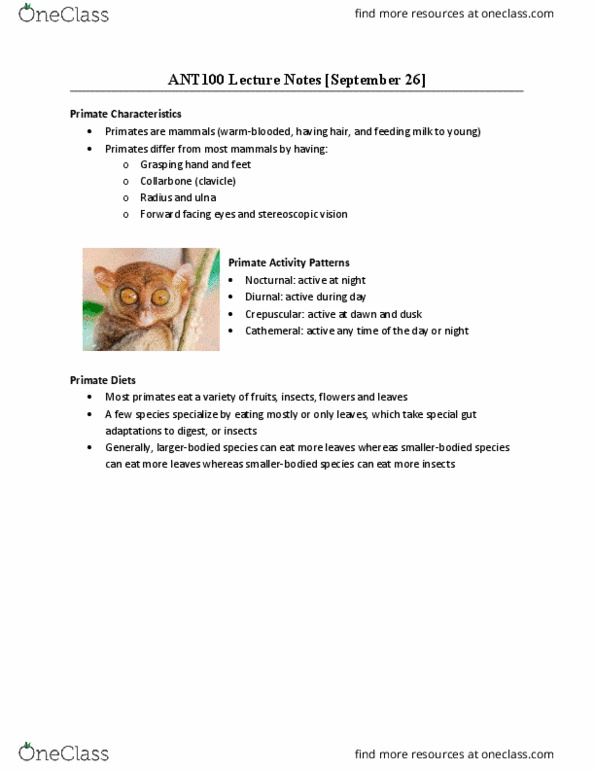 ANT100Y1 Lecture Notes - Lecture 3: Stereopsis, Cathemerality, Ulna thumbnail