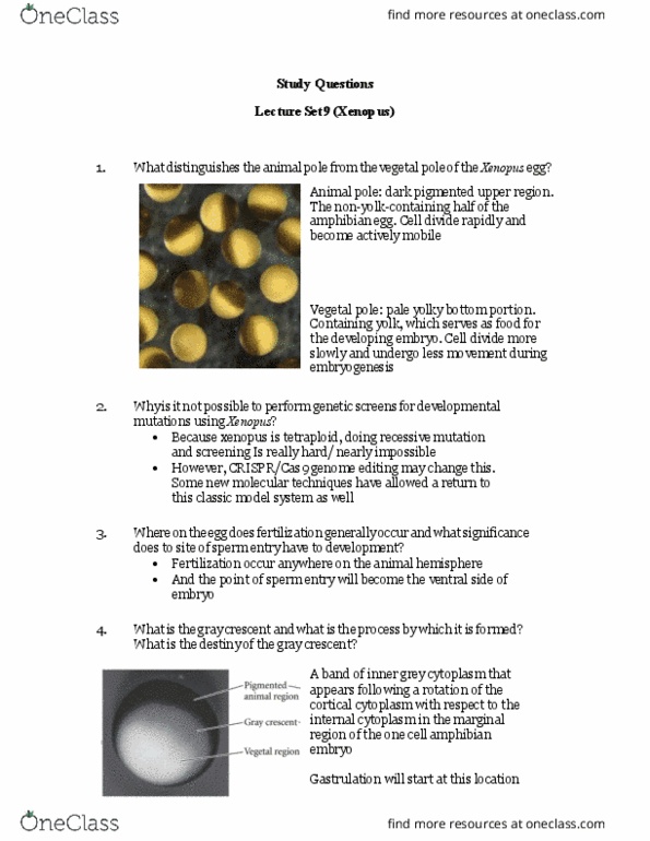 BIOL303 Lecture Notes - Lecture 9: Xenopus, Genome Editing, Polarity In Embryogenesis thumbnail