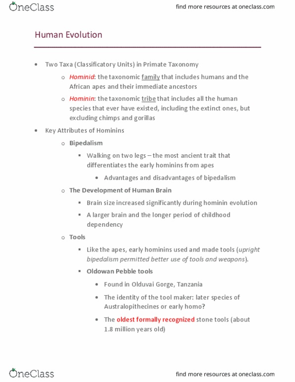 ANTH-2010 Lecture Notes - Lecture 8: Olduvai Gorge, Hominini, Oldowan thumbnail