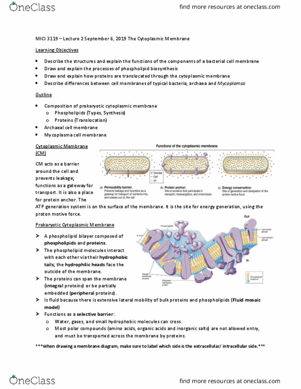 MICI 3119 Lecture Notes - Lecture 2: Fluid Mosaic Model, Lipid Bilayer, Mycoplasma thumbnail