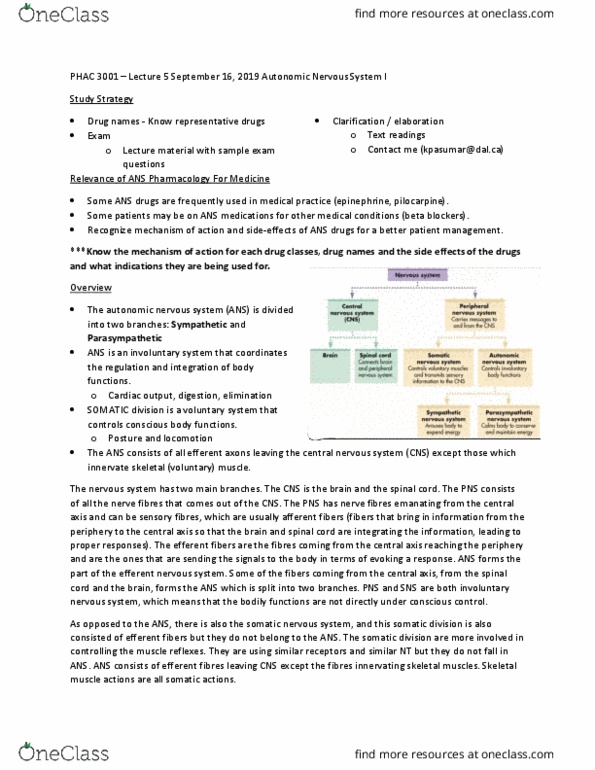 PHAC 3001 Lecture Notes - Lecture 5: Central Nervous System, Somatic Nervous System, Autonomic Nervous System thumbnail