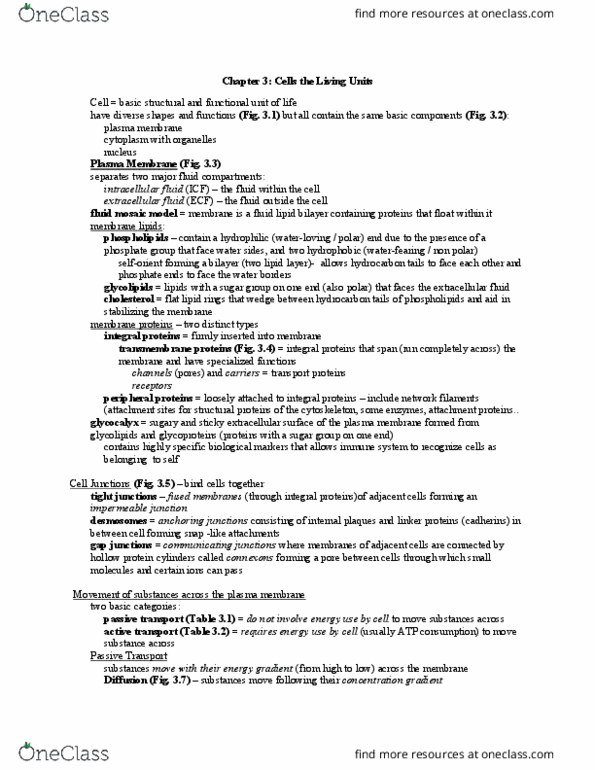 BLG 181 Lecture Notes - Lecture 4: Lipid Bilayer, Extracellular Fluid, Tight Junction thumbnail