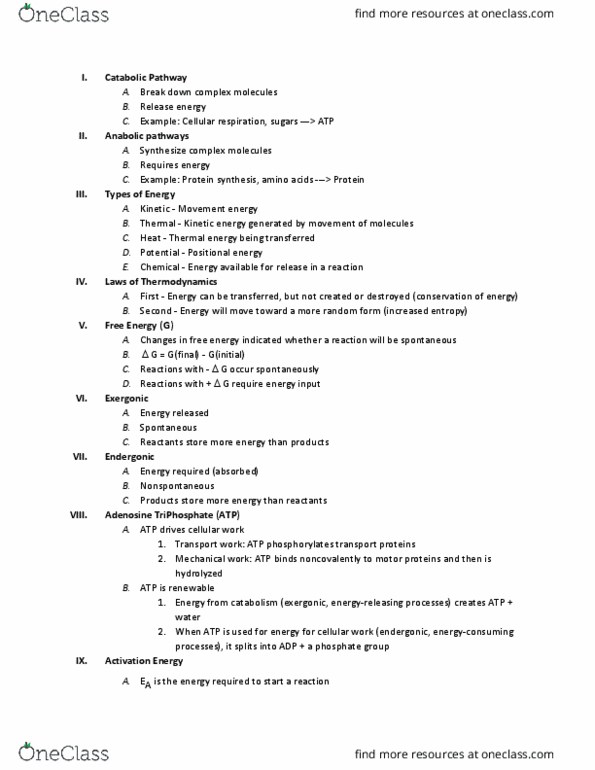 BILD 1 Lecture Notes - Lecture 7: Thermal Energy, Kinetic Energy, Cellular Respiration thumbnail