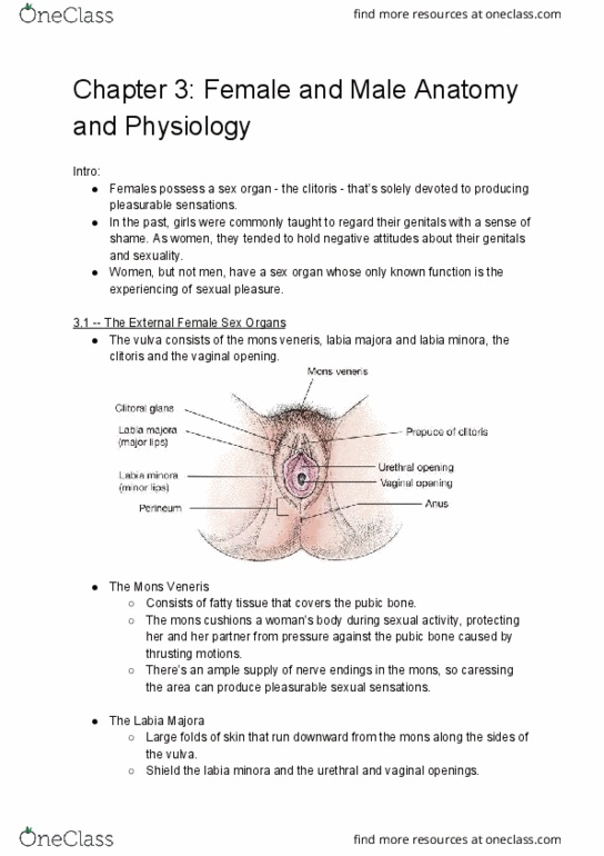 FRHD 2100 Chapter Notes - Chapter 3: Mons Pubis, Sex Organ, Clitoris thumbnail