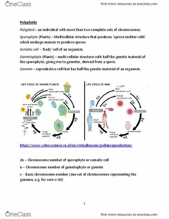 document preview image