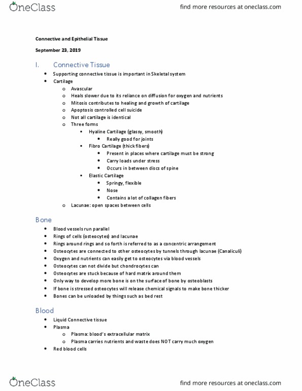 BIOL 260 Lecture Notes - Lecture 13: Epithelium, Connective Tissue, Cartilage thumbnail