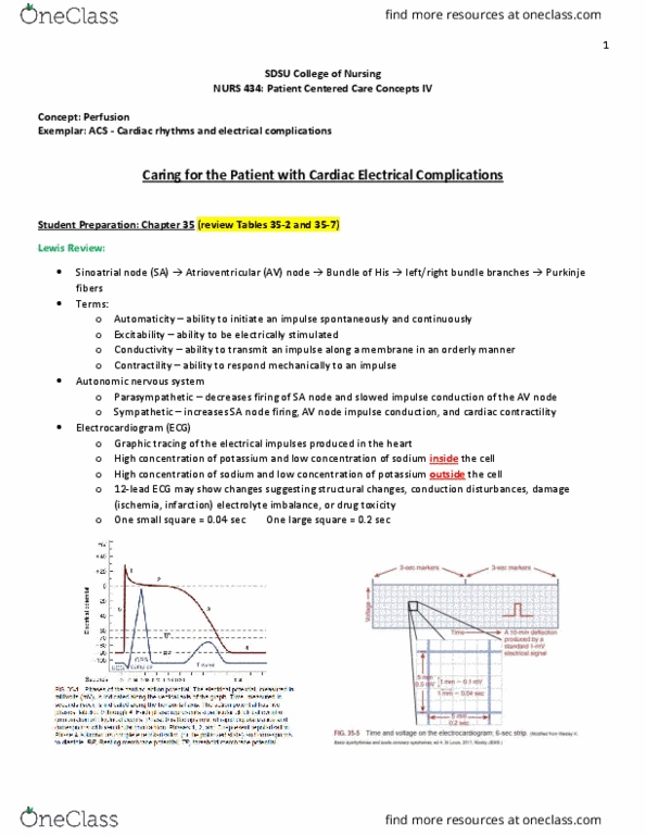 NURS 434 Lecture Notes - Lecture 3: Sinoatrial Node, Atrioventricular Node, Purkinje Fibers thumbnail