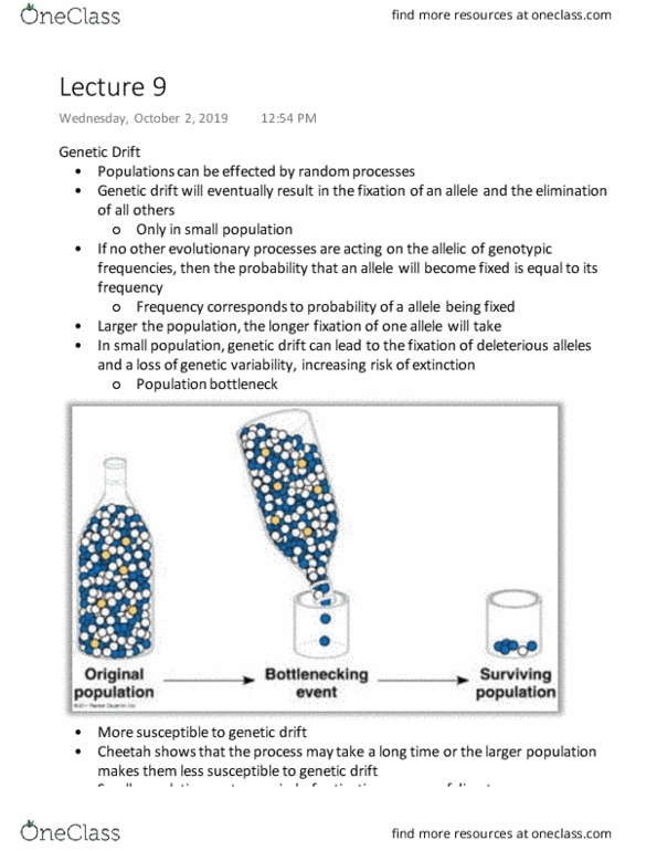 BIO 1130 Lecture Notes - Lecture 9: Genetic Drift, Population Bottleneck, Directional Selection thumbnail