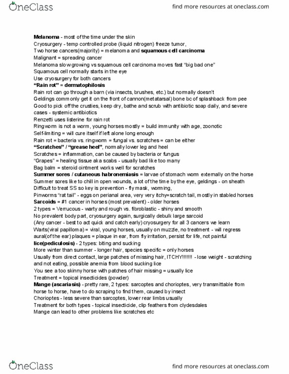 document preview image