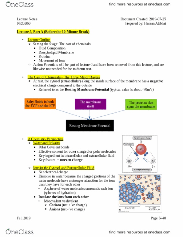 NROB60H3 Lecture Notes - Lecture 5: Resting Potential, Extracellular Fluid, Electric Potential thumbnail