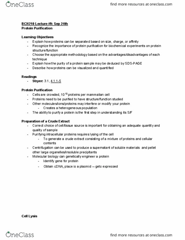 BCH210H1 Lecture Notes - Lecture 9: Protein Purification, Affinity Chromatography, Centrifugation thumbnail