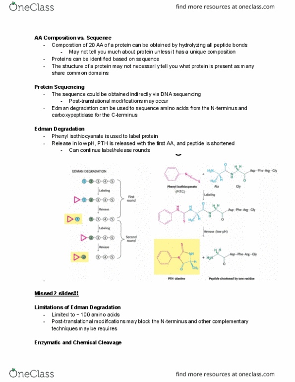 BCH210H1 Lecture Notes - Lecture 10: Edman Degradation, Isothiocyanate, Carboxypeptidase A thumbnail
