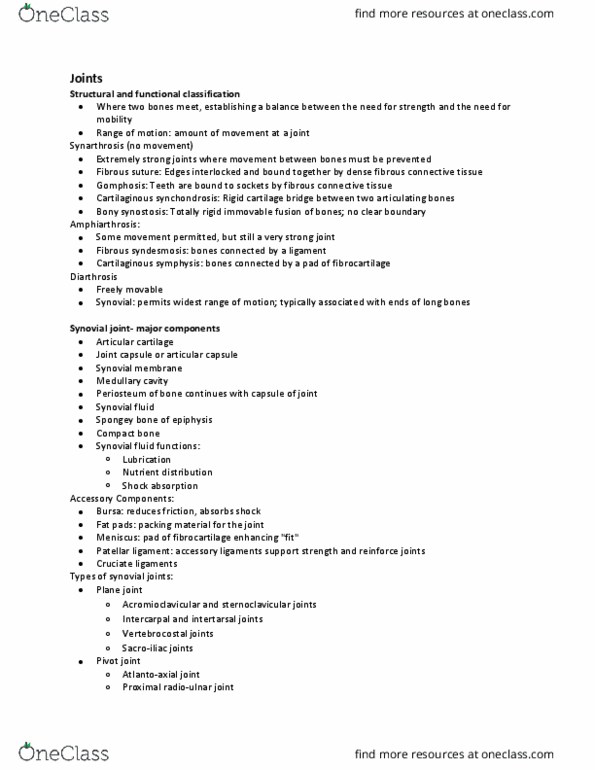 ANAT 204 Lecture Notes - Lecture 6: Proximal Radioulnar Articulation, Synovial Joint, Patellar Ligament thumbnail