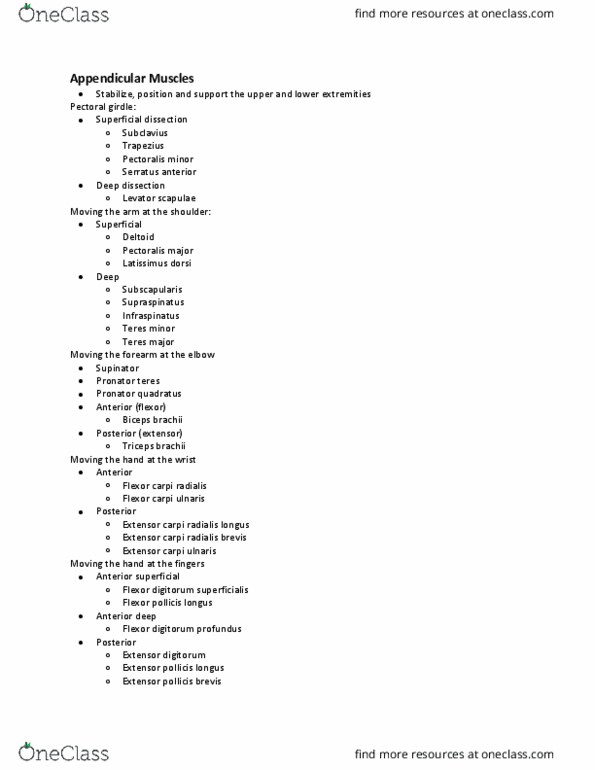 ANAT 204 Lecture Notes - Lecture 9: Extensor Carpi Ulnaris Muscle, Extensor Pollicis Brevis Muscle, Extensor Pollicis Longus Muscle thumbnail