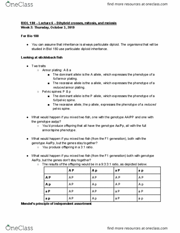 BIOL 180 Lecture Notes - Lecture 7: Mendelian Inheritance, Mitosis, Meiosis cover image