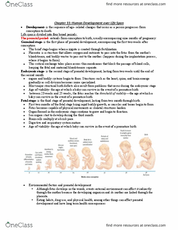 PSY100Y5 Chapter Notes - Chapter 11: Preterm Birth, Prenatal Development, Fetus thumbnail