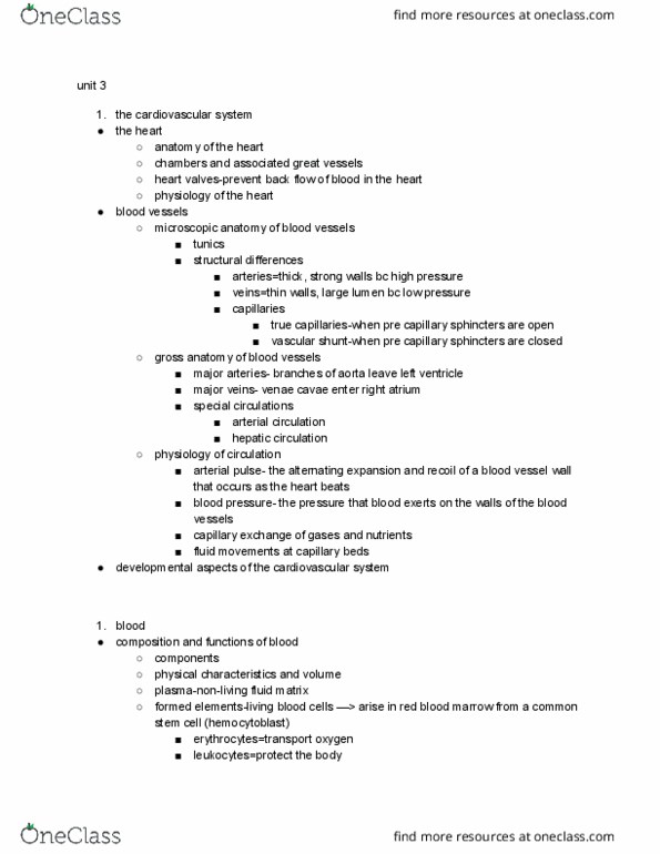 BIOM 2000 Chapter Notes - Chapter 3: Venae Cavae, Gross Anatomy, Blood Vessel thumbnail