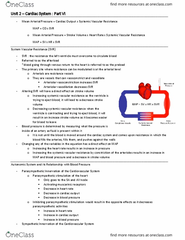 BIO 3342 Lecture Notes - Lecture 20: Vascular Resistance, Mean Arterial Pressure, Foreign Intelligence Service (Russia) thumbnail