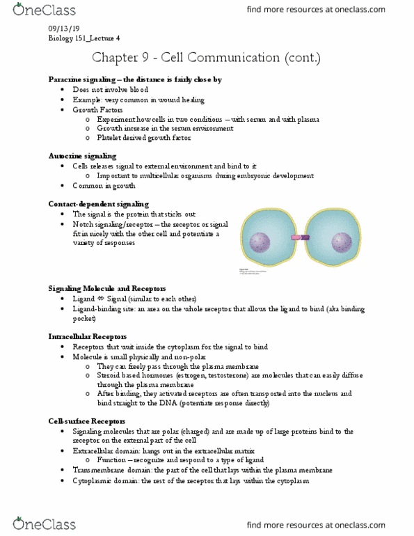 BIOLOGY 151 Lecture Notes - Lecture 4: Autocrine Signalling, Paracrine Signalling, Transmembrane Domain thumbnail