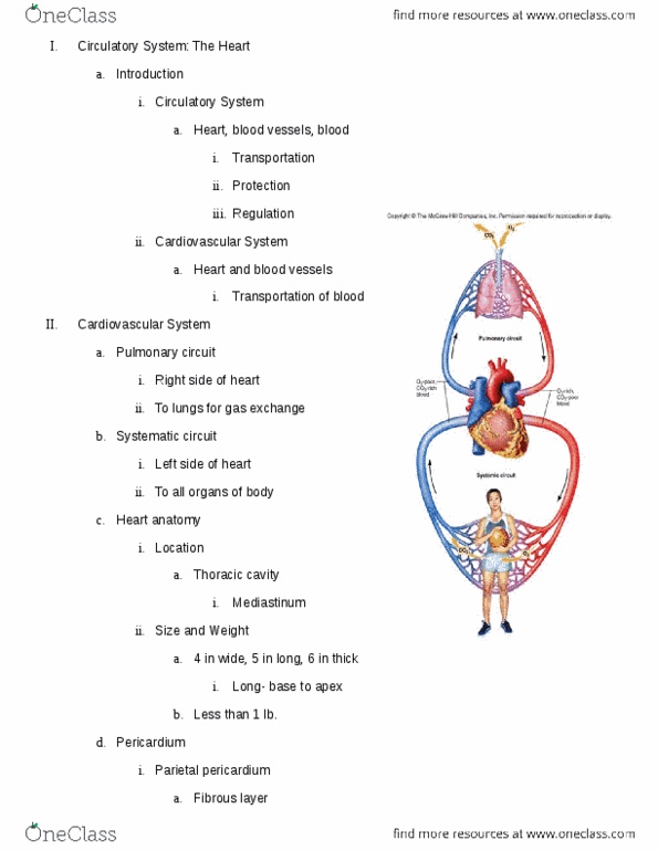 KINS 1224 Lecture Notes - Inotrope, Medulla Oblongata, Cardiac Output thumbnail