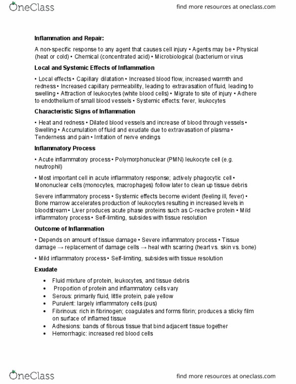 ENH 220 Lecture Notes - Lecture 3: Vascular Permeability, Coagulation, Bone Marrow thumbnail