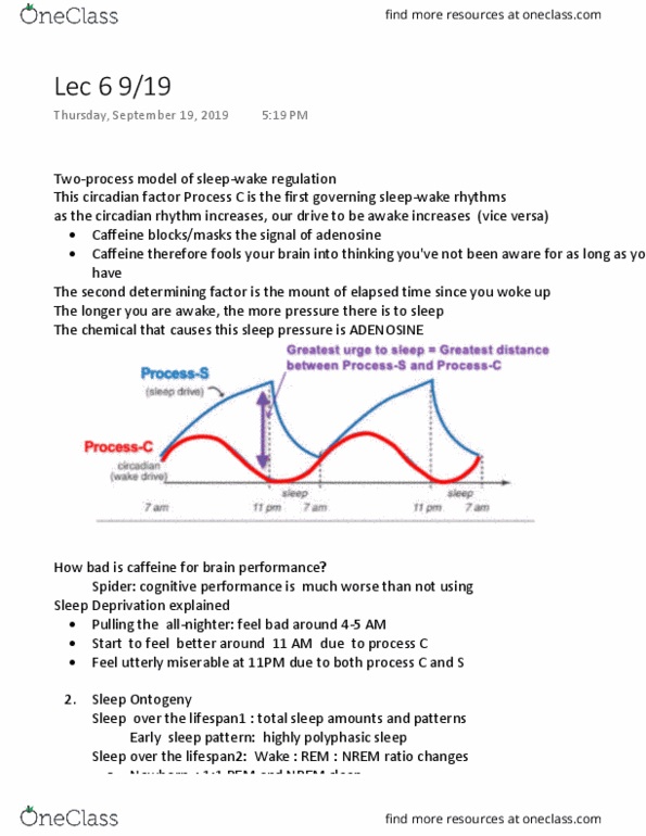 PSYCH 133 Lecture Notes - Lecture 6: Biphasic And Polyphasic Sleep, Non-Rapid Eye Movement Sleep, Circadian Rhythm thumbnail