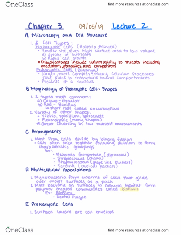 BIOL 275 Lecture Notes - Lecture 2: Dental Plaque, Diplococcus, Biofilm thumbnail